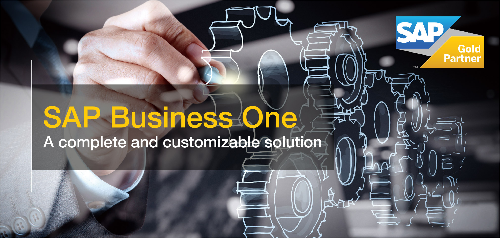 Erp Sap Business One Nec