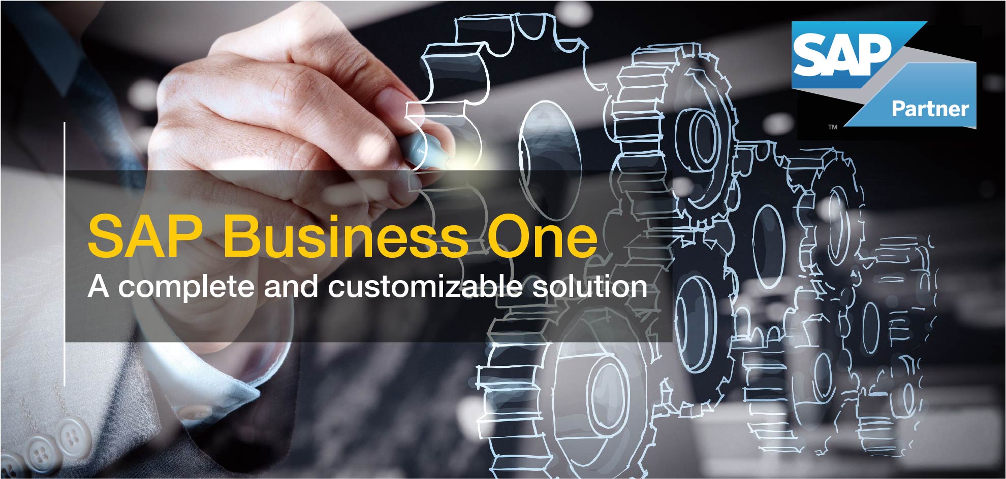 sap business one consultant